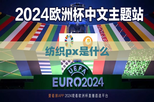 纺织px是什么