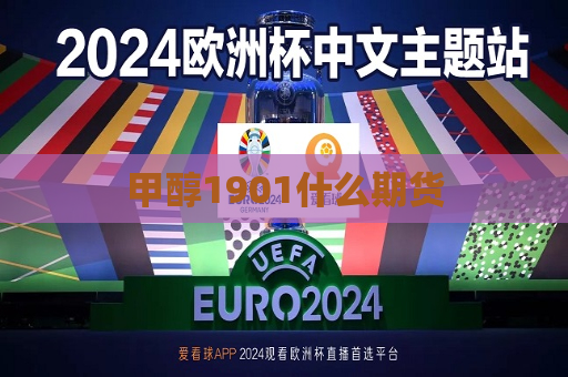 甲醇1901什么期货  第1张