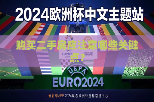 购买二手房应注意哪些关键点？