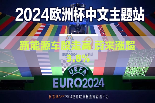 新能源车股走高 蔚来涨超3.8%  第1张