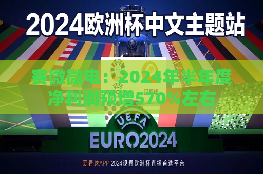赛微微电：2024年半年度净利润预增570%左右  第1张