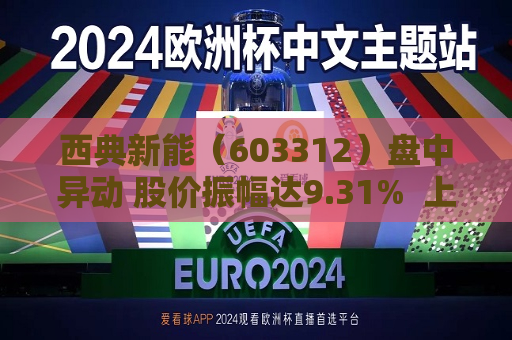 西典新能（603312）盘中异动 股价振幅达9.31%  上涨8.03%（07-24）