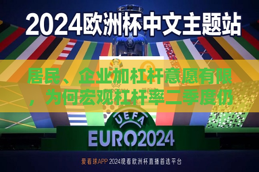 居民、企业加杠杆意愿有限，为何宏观杠杆率二季度仍在攀升？