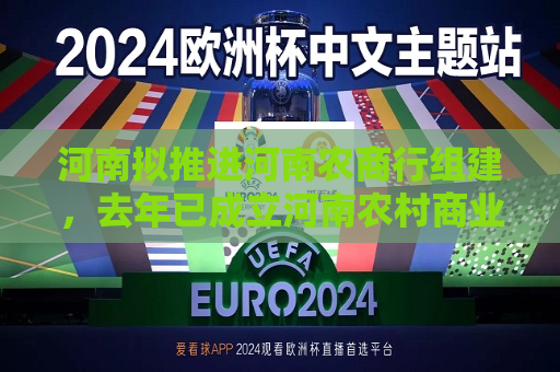 河南拟推进河南农商行组建，去年已成立河南农村商业联合银行