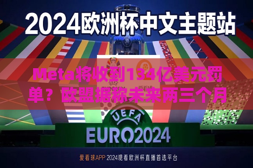 Meta将收到134亿美元罚单？欧盟据称未来两三个月或会发布决定  第1张