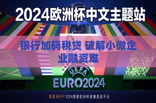银行加码税贷 破解小微企业融资难  第1张