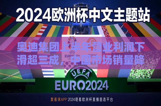 奥迪集团上半年营业利润下滑超三成，中国市场销量降1.9%  第1张