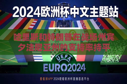 哈里斯和特朗普在战场州宾夕法尼亚州的支持率持平  第1张