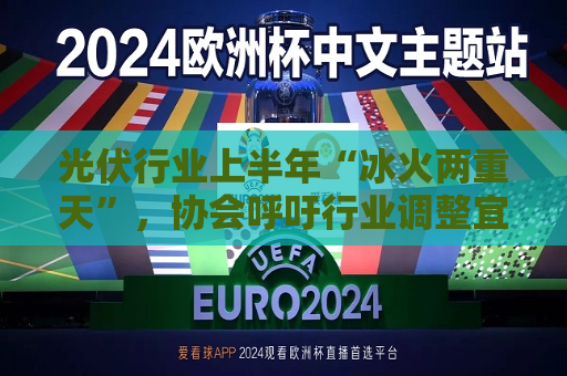 光伏行业上半年“冰火两重天”，协会呼吁行业调整宜重宜快
