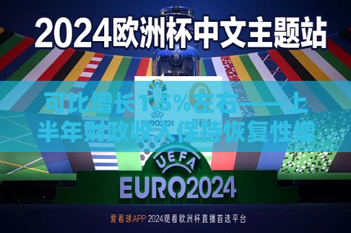 可比增长1.5%左右——上半年财政收入保持恢复性增长