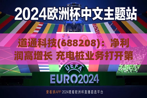 道通科技(688208)：净利润高增长 充电桩业务打开第二增长曲线
