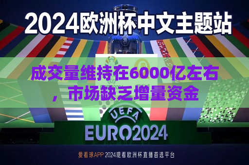 成交量维持在6000亿左右，市场缺乏增量资金