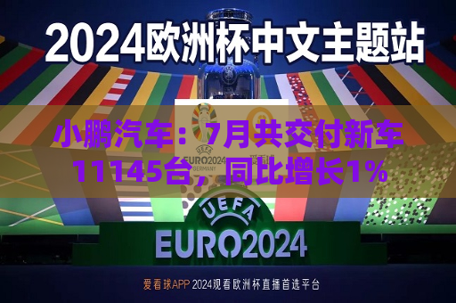 小鹏汽车：7月共交付新车11145台，同比增长1%  第1张