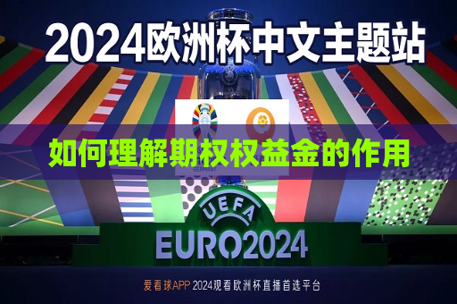 如何理解期权权益金的作用  第1张