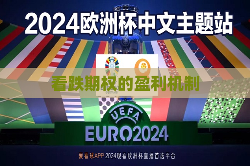 看跌期权的盈利机制  第1张
