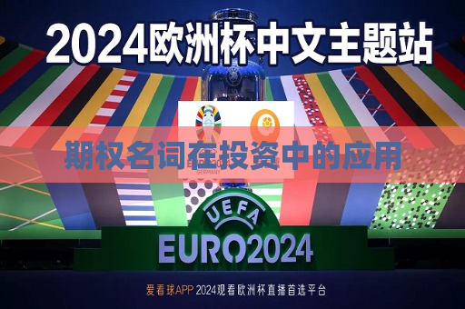 期权名词在投资中的应用