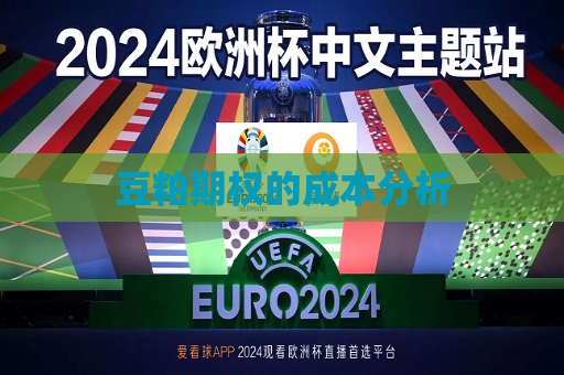豆粕期权的成本分析  第1张
