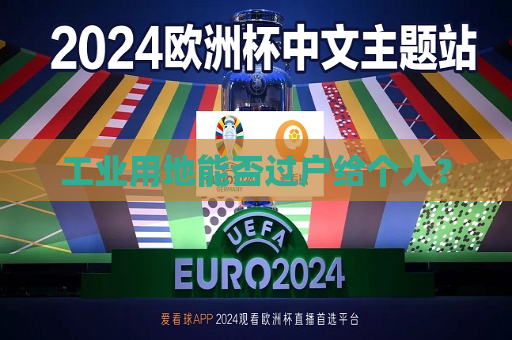 工业用地能否过户给个人？