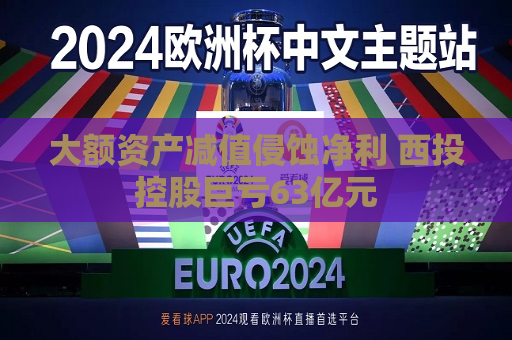 大额资产减值侵蚀净利 西投控股巨亏63亿元  第1张