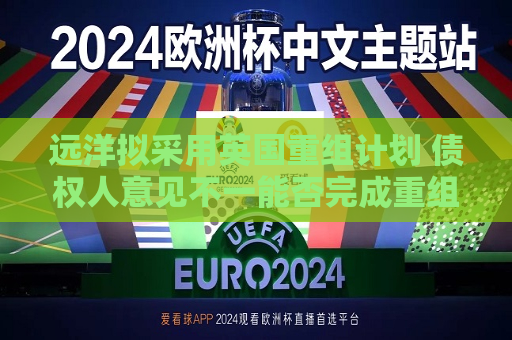 远洋拟采用英国重组计划 债权人意见不一能否完成重组  第1张
