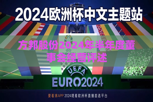 方邦股份2024年半年度董事会经营评述  第1张