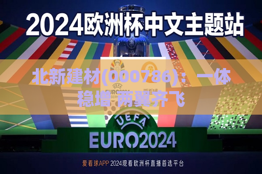 北新建材(000786)：一体稳增 两翼齐飞  第1张