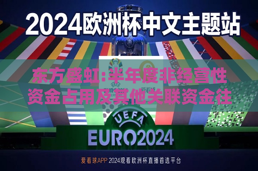 东方盛虹:半年度非经营性资金占用及其他关联资金往来情况汇总表  第1张