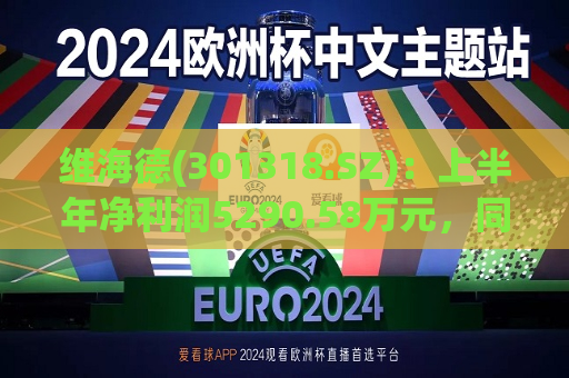 维海德(301318.SZ)：上半年净利润5290.58万元，同比增长14.41%  第1张