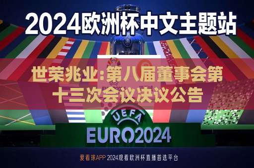 世荣兆业:第八届董事会第十三次会议决议公告