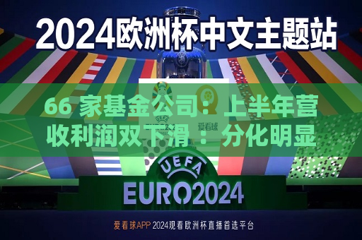 66 家基金公司：上半年营收利润双下滑 ：分化明显