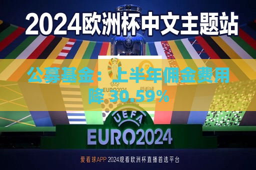 公募基金:上半年佣金费用降 30.59% 第1张 公募基金:上半年佣金费用降 30.59% 第1张