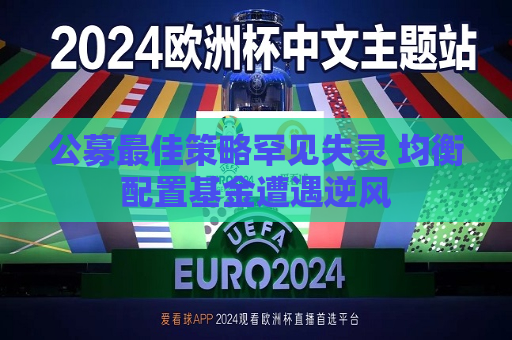 公募更佳策略罕见失灵 均衡配置基金遭遇逆风  第1张