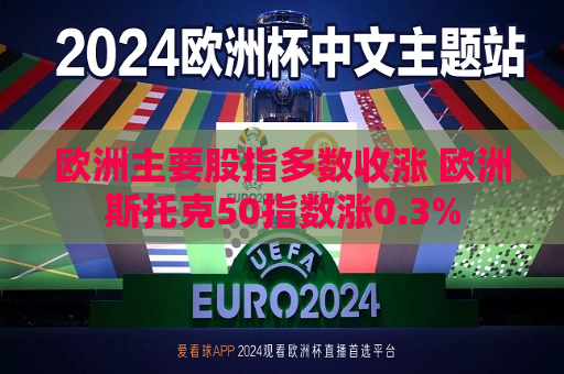 欧洲主要股指多数收涨 欧洲斯托克50指数涨0.3%  第1张