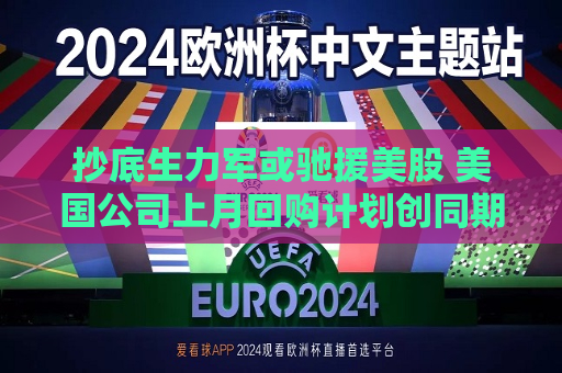 抄底生力军或驰援美股 美国公司上月回购计划创同期更高纪录  第1张