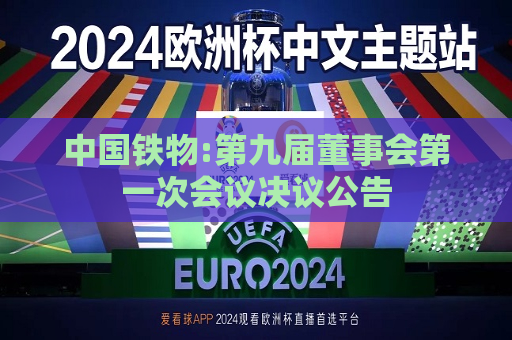 中国铁物:第九届董事会之一次会议决议公告