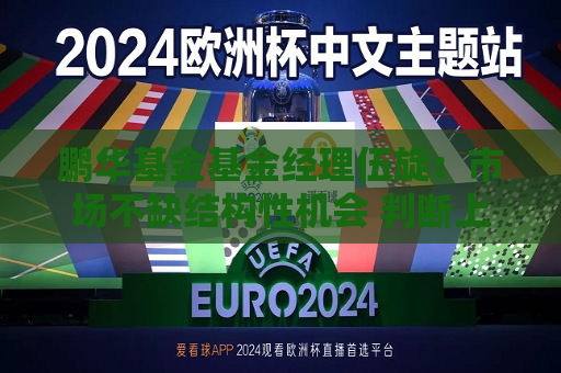 鹏华基金基金经理伍旋：市场不缺结构性机会 判断上市公司股权价值很关键