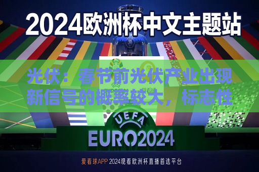 光伏：春节前光伏产业出现新信号的概率较大，标志性二三线公司可能退出，预计2025H1供需改善可期