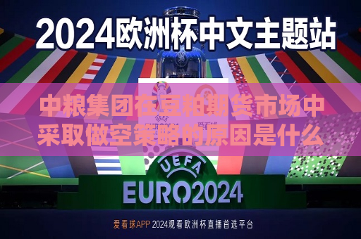 中粮集团在豆粕期货市场中采取做空策略的原因是什么？这种策略有何风险和收益？  第1张