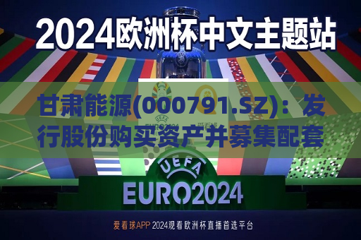 甘肃能源(000791.SZ)：发行股份购买资产并募集配套资金申请文件获深交所受理