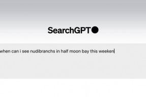 正面硬刚谷歌！OpenAI测试AI搜索功能SearchGPT，携手传媒巨头