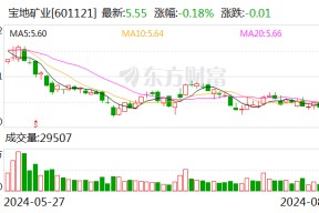 宝地矿业：上半年净利润同比增长53.24% 拟10派0.5元