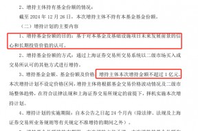 刘强东，出手！