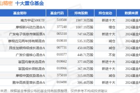 3月3日东山精密跌7.05%，南方中证500ETF基金重仓该股