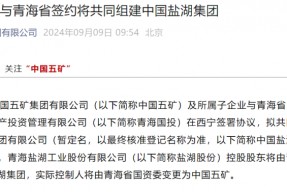 大重组！“中国神湖”起航 盐湖资源整合或加速推进