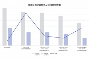2024年全球自然灾害保险损失1400亿美元，创历史第三高