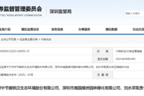 原实控人关联方违规占用公司资金 节能铁汉等被出具警示函