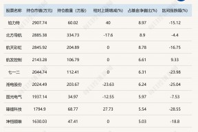 这些基金公司总经理也是基金经理！有人年内亏损超过30%，也有人回报名列前茅，他们二季度买了什么票？