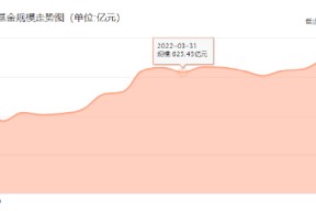 金鹰基金2024Q2非货规模缩水74亿，排名从第76位降至87位，公司总经理为周蔚，上任两年多公司总规模不增反降