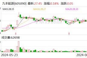上半年股权投资大降8成 九丰能源并购放缓？公司回应：仍在寻找一些优质标的