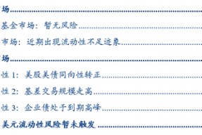 张瑜：暗流涌动——美国金融市场风险全景扫描